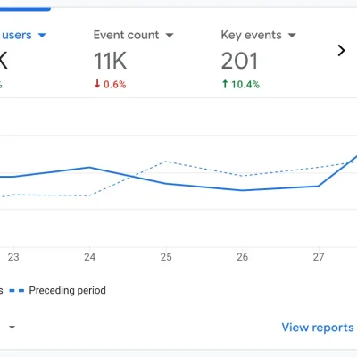 Flying Napkins Advertising can help your company with Google Analytics